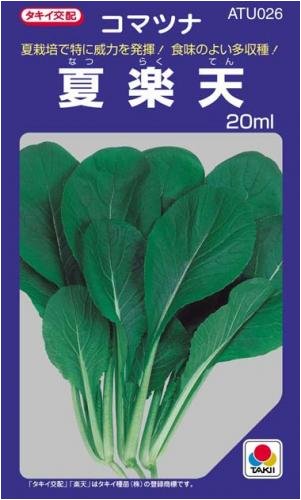 夏楽天(タキイ交配) 4200粒