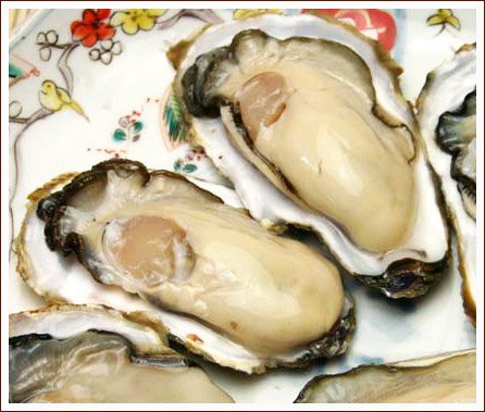 殺菌海水で浄化済みで安心! 殻付き牡蠣 [20ケ入] 伊勢の国浦村から産地直送【送料無料】冬の味覚を生食で♪