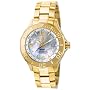 Invicta Men's 6889 Pro Diver Collection GMT 18k Gold-Plated Stainless Steel Watch