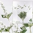 FOUR 20" Artificial Silk Flower Bushes for Wedding_White