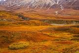 Wallmonkeys Peel and Stick Wall Decals - Fall Colors on the Tundra in Denali National Park - Removable Graphic