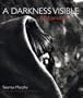 Afghanistan: A Darkness Visible