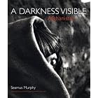 Afghanistan: A Darkness Visible by Seamus Murphy