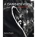 Afghanistan: A Darkness Visible