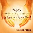 タカラモノ/君の笑顔がなによりも好きだった (CHICAGO POODLE)