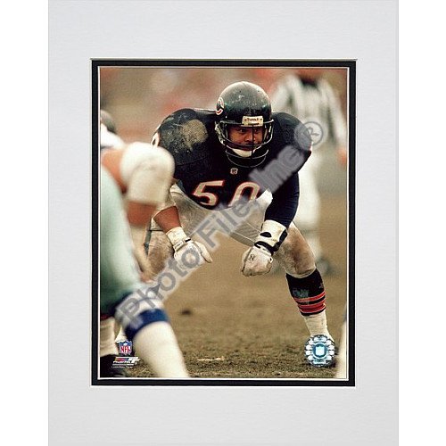 Photo File Chicago Bears Mike Singletary Matted Photo