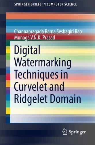 Digital Watermarking Techniques in Curvelet and Ridgelet Domain (SpringerBriefs in Computer Science)