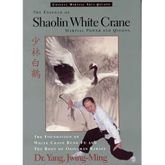 The Essence of Shaolin White Crane: Martial Power and Qigong