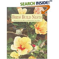 Birds Build Nests