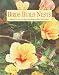 Books : Birds Build Nests