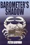 Barometer's Shadow