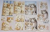 A4 3D step by step Le Suh decoupage sheet - gorgeous fat pussy cats