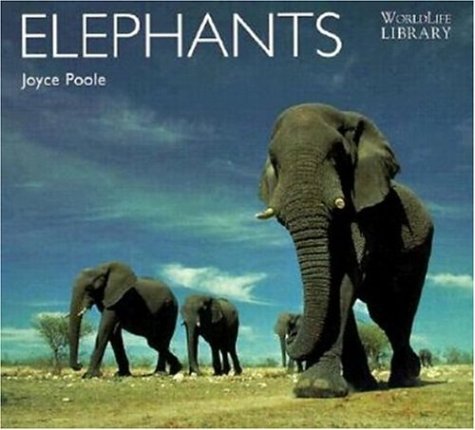 Elephants
