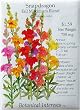 Snapdragon Tall Blend Heirloom Seeds 600 Seeds