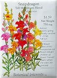 Snapdragon Tall Blend Heirloom Seeds 600 Seeds