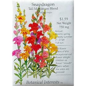 Snapdragon Seeds Tall Blend