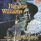 Revue Big Joe Williams  / Baby Please Don't Go