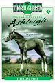 The Lost Foal (Thoroughbred Ashleigh (Library))