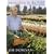 Outstanding in the Field: A Farm to Table Cookbook