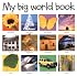 My Big World Book (My Big Board Books)