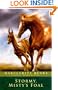Stormy, Misty's Foal (Turtleback School & Library Binding Edition)