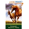 Stormy, Misty's Foal (Turtleback School & Library Binding Edition)