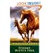 Stormy, Misty's Foal (Turtleback School & Library Binding Edition)