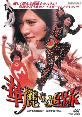 華麗なる追跡 [DVD]