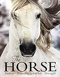 The Horse