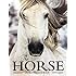 The Horse