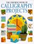 The Usborne Book of Calligraphy Projects (Usborne Practical Guides)