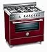 Bertazzoni : Professional X365GGVVI 36