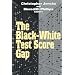 Black-White Test Score Gap