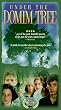 Under the Domim Tree (Ws Sub) [VHS] [Import]
