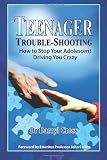 Teenager Trouble-Shooting:: How to Stop Your Adolescent Driving You Crazy