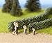 Noch 21512 Hedge Light Grn 15X8Mm 2/ H0,Tt,N Scale  Model Kit