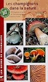 Les champignons dans la nature : 230 Espèces et plus de 300 photographies couleurs in-situ