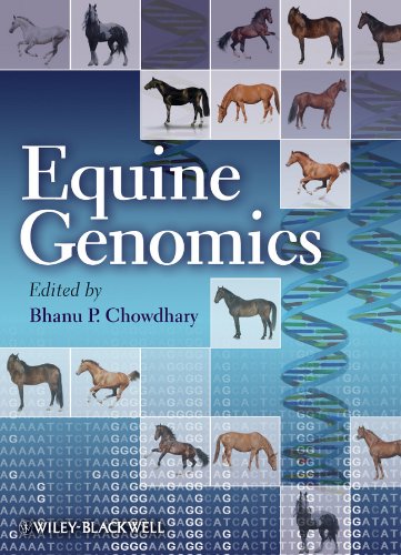 Equine Genomics, by Bhanu P. Chowdhary