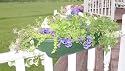 2X6 Rect. Deck Planter Green
