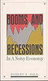 Booms and recessions in a noisy economy