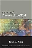 Schelling's practice of the wild : time, art, imagination