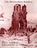 History of the 12th (Bermondsey) Battalion East Surrey Regiment