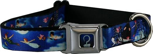 Buckle Down Dog Collar Captain