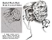 Hair Design -- Waving, Shaping and Curl Patterns for 1950s Hairstyles by Louis Newberry (2009-05-04)