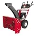TROYBILT Storm
