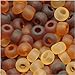 Jablonex Czech Seed Beads 8/0 Tortoise Matte Mix (1 Ounce)
