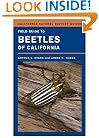 Field Guide to Beetles of California (California Natural History Guides)