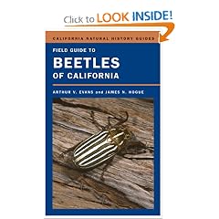 Field Guide to Beetles of California (California Natural History Guides)