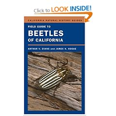 Field Guide to Beetles of California