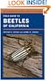 Field Guide to Beetles of California (California Natural History Guides)